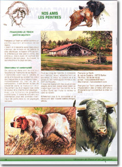 Cliquer pour agrandir