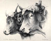 Lithographie N° 6 - Cliquer pour agrandir