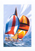 Sports N 1 - Cliquer pour agrandir