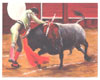 Tauromachie N° 9 - Cliquer pour agrandir