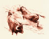 Tauromachie N° 3 - Cliquer pour agrandir