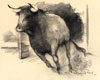 Tauromachie N° 5 - Cliquer pour agrandir