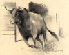 Tauromachie N° 7 - Cliquer pour agrandir
