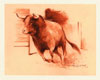Tauromachie N° 8 - Cliquer pour agrandir