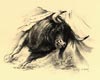 Tauromachie N° 14 - Cliquer pour agrandir