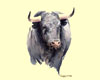 Tauromachie N° 6 - Cliquer pour agrandir